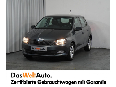 Skoda Fabia Gebrauchtwagen, Benzin, Grau, Kärnten, ID 1025519