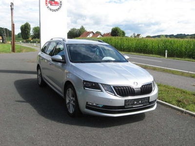 Skoda Octavia Style Combi DSG RFK AHK Blindspot