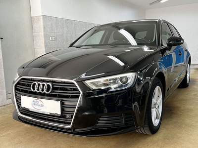 Audi A3 30 TDI Business ''Navi-Xenon-Temp-Alu-AHK-PDC''