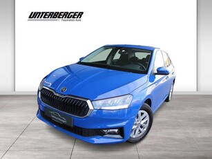 Skoda Fabia 1.0 Ambition DAB LED Tempomat Klima