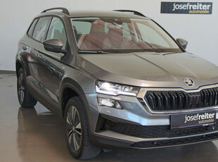 Skoda Karoq 2,0 TDI 4x4 DSG Ambition