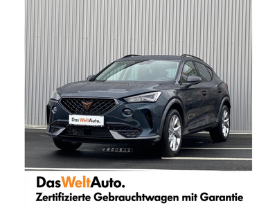 Cupra Formentor Gebrauchtwagen, Benzin, Grau, Steiermark, ID 1167168