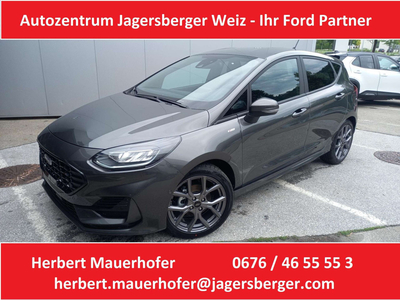 Ford Fiesta Neuwagen, Benzin, Grau, Steiermark, ID 1014759