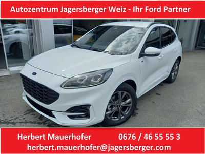 Ford Kuga 2,0 EcoBlue Hybrid ST-Line X Aut. nur 365,...