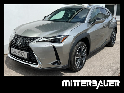 Lexus UX 250h Style Edition 1.4kWh Aut.