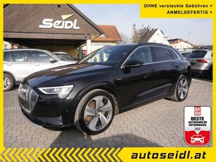 Audi e-tron 55 quattro *EXTRAS ca. 30.000,-!!*