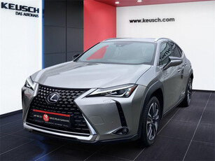 Lexus UX 250h Style Edition