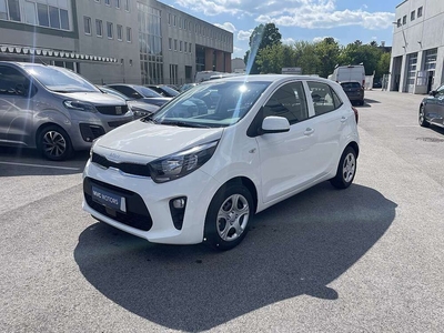 KIA Picanto Vorführwagen, Benzin, Weiß, Niederösterreich, ID 1001923