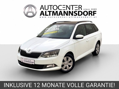 Skoda FABIA TDI EDITION NAVI GLASDACH PDC MOD2016-17