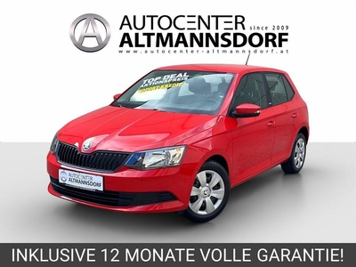 Skoda FABIA WIE NEU MIT NUR 31.000KM MOD2017-18