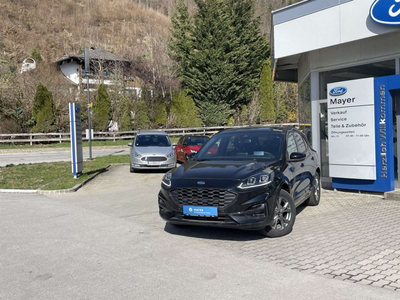 Ford Kuga 2,0 EcoBlue AWD ST-Line Aut.