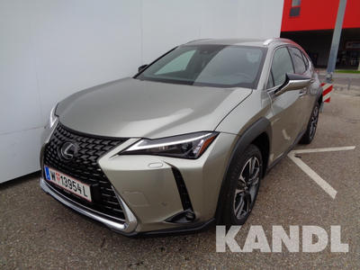 Lexus UX 250h Style Edition 1.4kWh Aut.