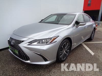 Lexus ES 300h Business Line Aut.