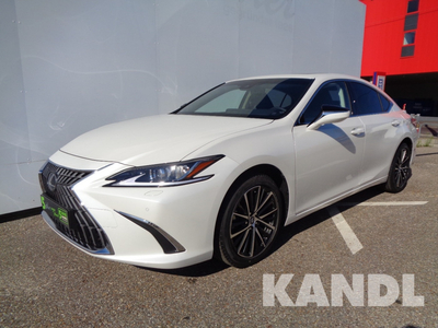 Lexus ES 300h Business Line Aut.