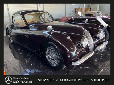Jaguar XK Oldtimer, Benzin, Violett, Steiermark, ID 1173390