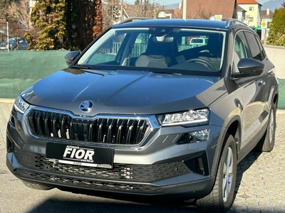 Skoda Karoq Gebrauchtwagen, Diesel, Grau, Steiermark, ID 1175040