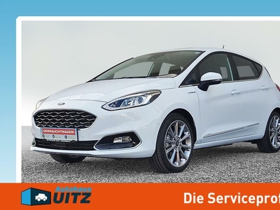 Ford Fiesta Vignale Hybrid Winterpaket