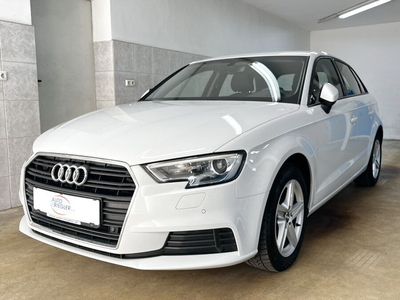 Audi A3 30 TDI Business ''Navi-Xenon-Rückfahrk-Temp-Alu''