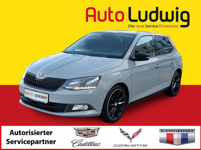 Skoda Fabia Monte Carlo 1.0 TSI*PANORAMADACH*SHZ*R-KAMERA*T...