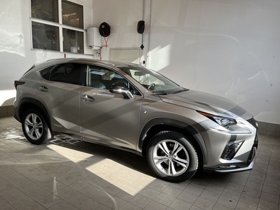 Lexus NX 300h (E-Four)