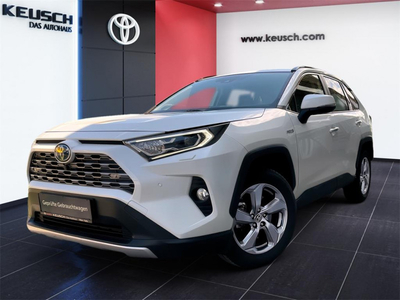 Toyota RAV 4 2,5 4WD HSD VIP