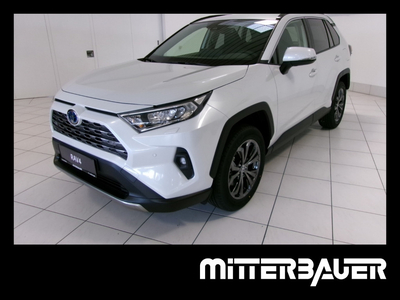 Toyota RAV4 2.5 Hybrid Active Drive AWD