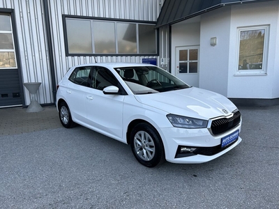 Skoda Fabia Ambition *Tempomat, Sitzheizung*