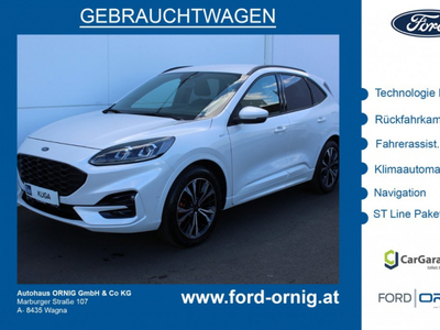 Ford Kuga Vorführwagen, Diesel, Weiß, Steiermark, ID 1089205