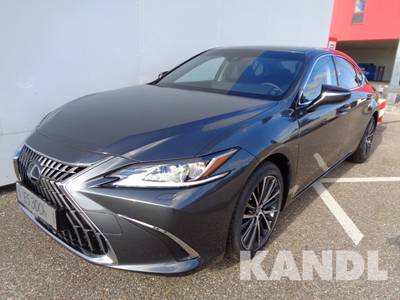 Lexus ES 300h Business Line Aut.