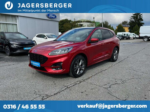 Ford Kuga 2,0 EcoBlue AWD ST-Line X Aut.