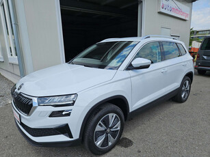 Skoda Karoq Style TDI 4x4 DSG Anhängerkupplung LED Navi