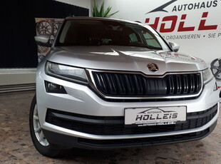 Skoda Kodiaq 2,0 TDI 110 Kw 4x4 DSG Ambition Tausch mög