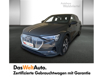 Audi e-tron 50 quattro 230 kW Business