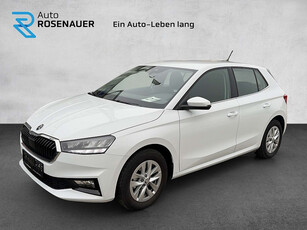 Skoda Fabia Ambition 1,0 !PPhi, Navi mit Apple Car Play!