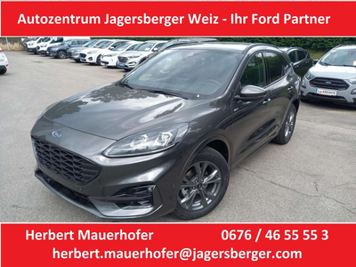 Ford Kuga 2,0 EcoBlue AWD ST-Line Aut. nur 447,--mtl.*