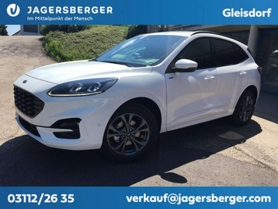 Ford Kuga Neuwagen, Diesel, Weiß, Steiermark, ID 1067139