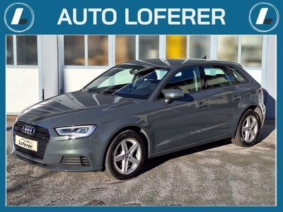 Audi A3 30 TDI Business Plus LEDER*NAVI*LED