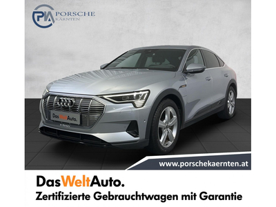 Audi Q8 e-tron Gebrauchtwagen, Elektro, Silber, Kärnten, ID 1163176