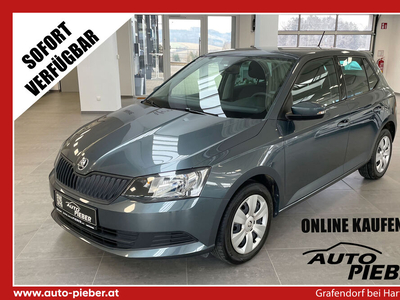 Skoda Fabia Active 1,0TSi *KLIMA* *PDC hinten*