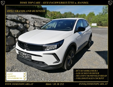 Opel Grandland X Business Edition Rückfahrkamera