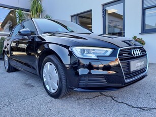 Audi A3 quattro basis / 1-Besitz / Sitzheizung vorne /