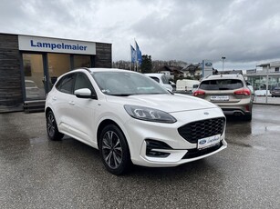 Ford Kuga ST-Line X