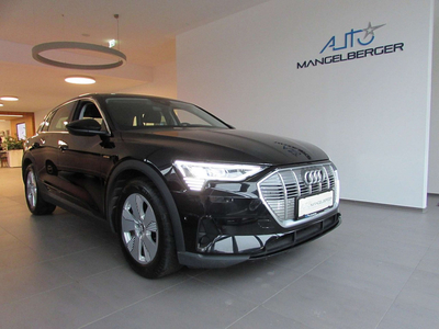 Audi e-tron 50 quattro ACC MATRIX ASSISTENZPAKET LUFT