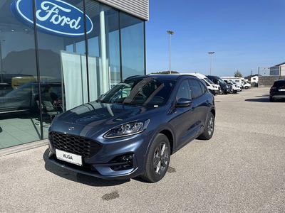 Ford Kuga 2,0 EcoBlue AWD ST-Line X Aut.