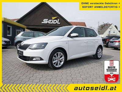 Skoda Fabia Ambition 1,0 *Topausstattung*