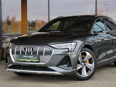 Audi e-tron 55 quattro 95kWh S-line NP:119tsd, AssitenzPake...