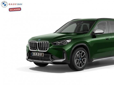 BMW X1 xDrive30e