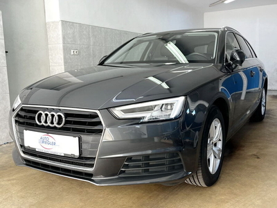 Audi A4 30 TDI Business ''LED/HSW-Leder-Navi-Sitzh-PDC''