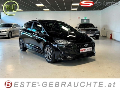 Ford Fiesta ST-Line X 100PS - Winter-Paket