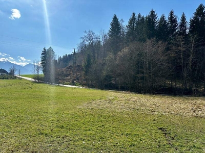 Baugrundstück für Ruhe suchende Naturliebhaber in Maria Rain!